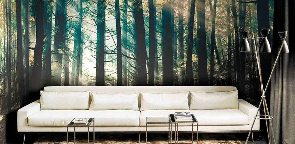 Papier peint sur mesure maison a Chambery
